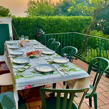 Hébergement de vacances With Breathtaking Sea View Maratea