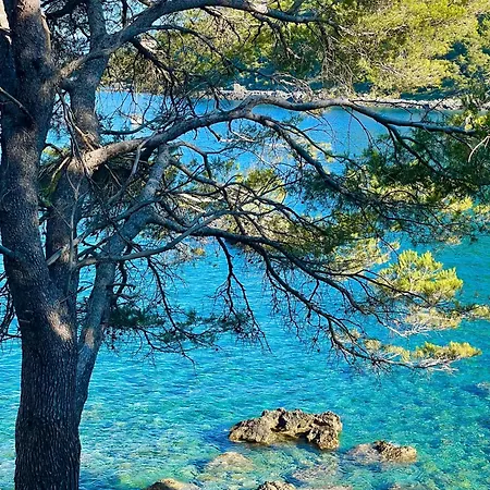 Nyaraló With Breathtaking Sea View